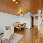 Valaisia 55b - Plein Centre * 南达